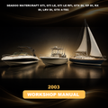 2003 SEADOO WATERCRAFT GTI, GTI LE, GTI LE RFI, GTX DI, XP DI, RX DI, LRV DI, GTX 4-TEC Series Workshop Repair & Service Manual