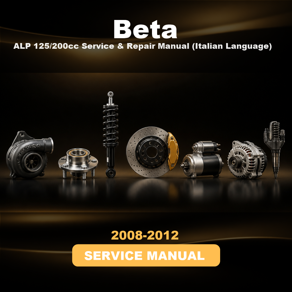 2008-2012 BETA ALP 125/200cc Service & Repair Manual (Italian Language)