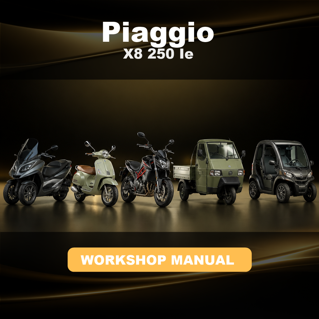 PIAGGIO X8 250 Ie Service Repair Workshop Manual
